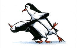tango-penguins